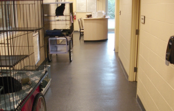 Veterinary and animal care facilities require seamless, non-porous polymer floor coatings and resurfacing systems.